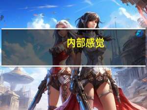内部感觉