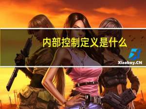 内部控制定义是什么