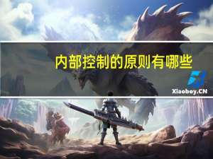 内部控制的原则有哪些