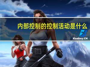 内部控制的控制活动是什么
