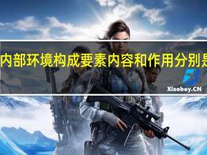 内部环境构成要素内容和作用分别是什么