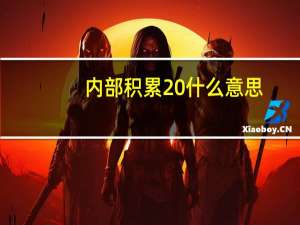 内部积累 什么意思