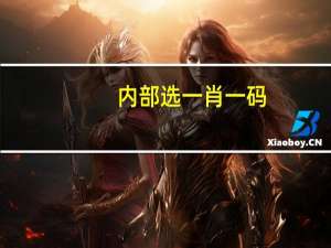 内部选一肖一码_精选作答解释落实_V05.30.89