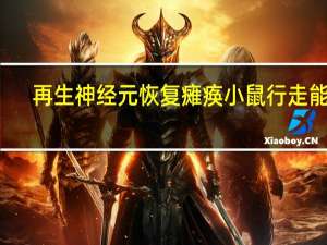 再生神经元恢复瘫痪小鼠行走能力