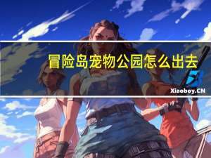 冒险岛宠物公园怎么出去