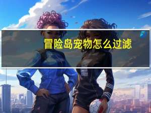 冒险岛宠物怎么过滤