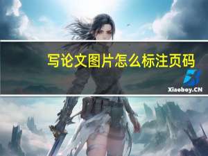 写论文图片怎么标注页码