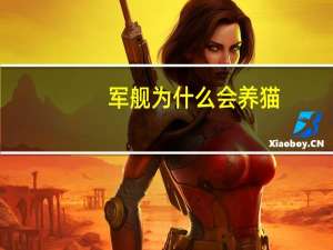 军舰为什么会养猫