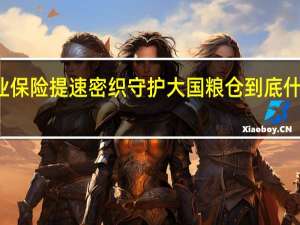 农业保险提速密织守护大国粮仓 到底什么情况嘞