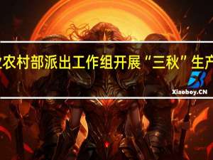 农业农村部派出工作组开展“三秋”生产指导服务