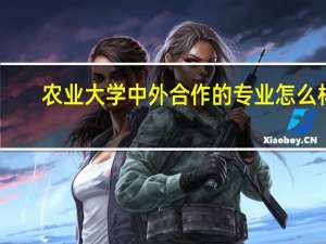 农业大学中外合作的专业怎么样