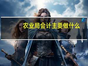 农业局会计主要做什么