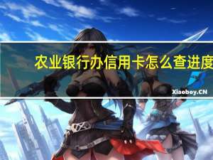农业银行办信用卡怎么查进度（中国农业银行信用卡进度怎么查询）