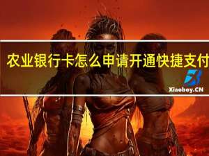 农业银行卡怎么申请开通快捷支付业务（农业银行卡怎么申请开通快捷支付）