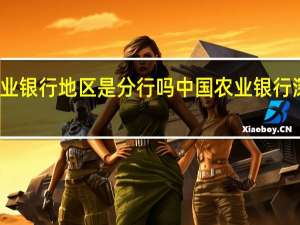 农业银行地区是分行吗 中国农业银行深圳分行