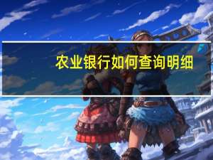 农业银行如何查询明细