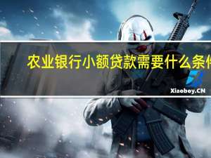 农业银行小额贷款需要什么条件