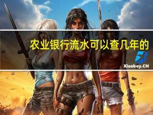 农业银行流水可以查几年的