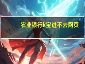 农业银行k宝进不去网页（农行k宝登录后打不开网页）