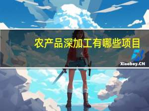 农产品深加工有哪些项目