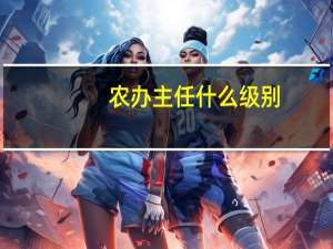 农办主任什么级别