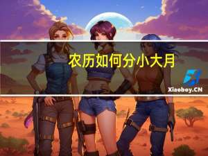 农历如何分小大月