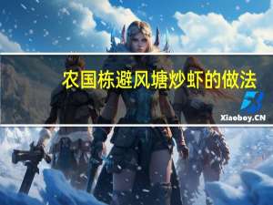 农国栋避风塘炒虾的做法