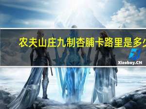 农夫山庄 九制杏脯卡路里是多少
