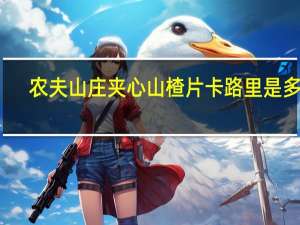 农夫山庄 夹心山楂片卡路里是多少