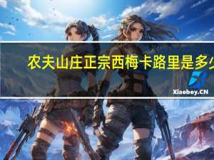 农夫山庄 正宗西梅卡路里是多少