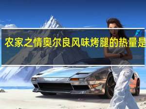 农家之情 奥尔良风味烤腿的热量是多少