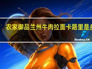 农家御品 兰州牛肉拉面卡路里是多少