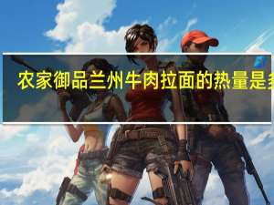 农家御品 兰州牛肉拉面的热量是多少