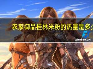 农家御品桂林米粉的热量是多少