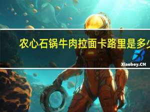 农心 石锅牛肉拉面卡路里是多少