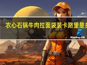 农心 石锅牛肉拉面 袋装卡路里是多少