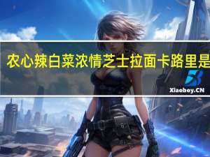 农心 辣白菜浓情芝士拉面卡路里是多少