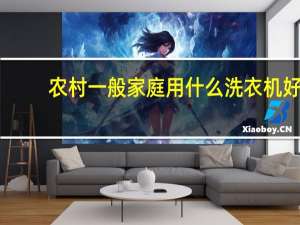 农村一般家庭用什么洗衣机好