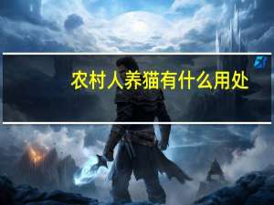 农村人养猫有什么用处