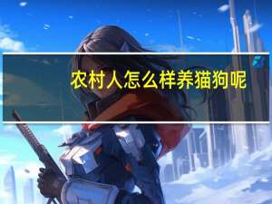 农村人怎么样养猫狗呢
