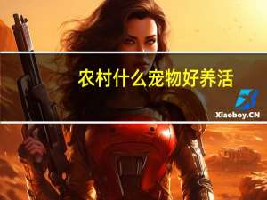 农村什么宠物好养活