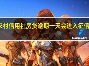 农村信用社房贷逾期一天会进入征信系统吗