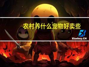 农村养什么宠物好卖些