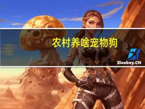 农村养啥宠物狗