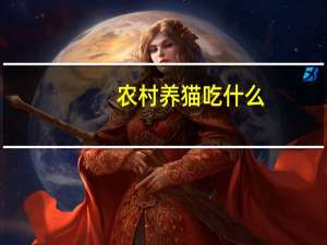 农村养猫吃什么