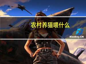 农村养猫喂什么