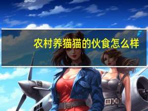 农村养猫猫的伙食怎么样