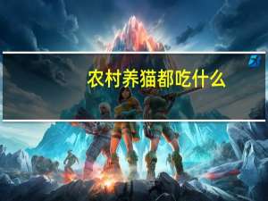 农村养猫都吃什么