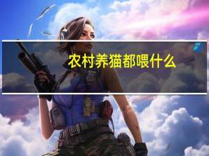 农村养猫都喂什么