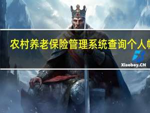 农村养老保险管理系统查询个人帐户（农村养老保险管理系统）